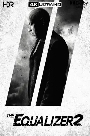 Poster to the movie "The Equalizer 2" #266506