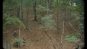 Backdrop to the movie "Vulcanizadora" #503553