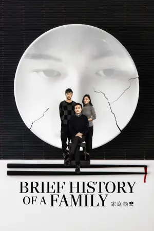 Poster to the movie "Brief History of a Family" #706921
