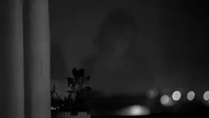 Backdrop to the movie "Memories of a Window" #540127