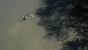 Backdrop to the movie "Saint Paisios" #542300