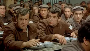 Backdrop to the movie "The Pariah" #459517