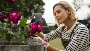 Backdrop to the movie "Muzzle: City of Wolves" #509957