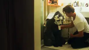 Backdrop to the movie "Good Boy" #747285