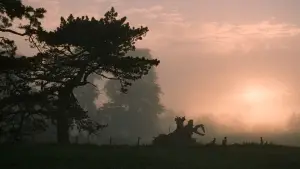 Backdrop to the movie "Bridge to Terabithia" #611568