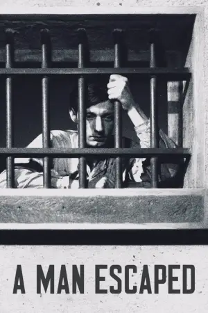 Poster to the movie "A Man Escaped" #751802