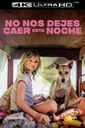 Poster to the movie "Don