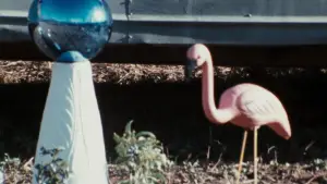 Backdrop to the movie "Pink Flamingos" #612049