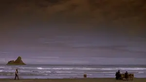 Backdrop to the movie "The Piano" #220478