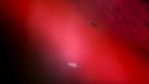 Backdrop to the movie "Neon Genesis Evangelion: The End of Evangelion" #648746