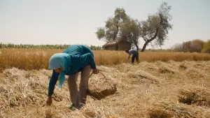 Backdrop to the movie "Return to Dust" #384629