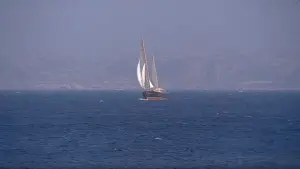 Backdrop to the movie "Red Desert" #775108