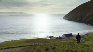 Backdrop to the movie "The Banshees of Inisherin" #693698