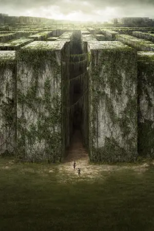 Poster to the movie "The Maze Runner" #551540
