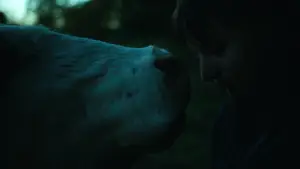 Backdrop to the movie "The Human Hibernation" #757300