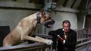 Backdrop to the movie "Doctor Dolittle" #385029