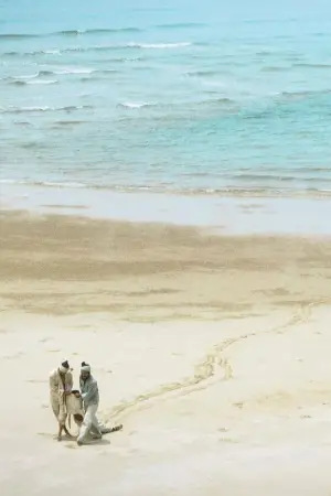 Poster to the movie "Isle of Snakes" #647004