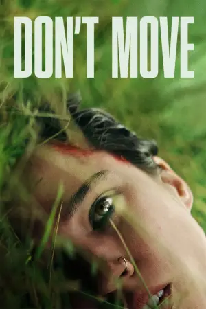 Poster to the movie "Don
