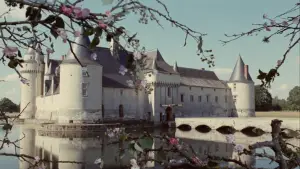 Backdrop to the movie "Donkey Skin" #812110