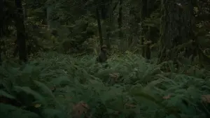Backdrop to the movie "First Cow" #932206