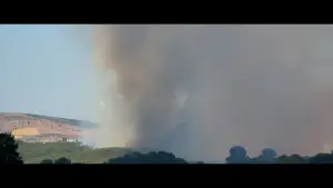 Backdrop to the movie "Dear Diary" #777353