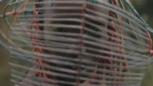 Backdrop to the movie "Neptune Frost" #493086