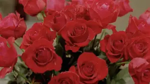 Backdrop to the movie "Nun in Rope Hell" #801560