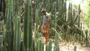 Backdrop to the movie "Bison Kaalamaadan" #786343