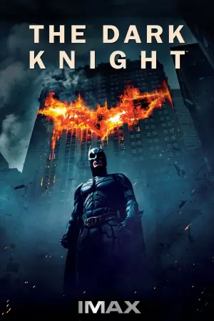 Poster to the movie "The Dark Knight" #522545