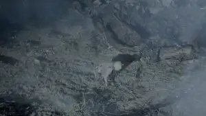 Backdrop to the movie "Winnie-the-Pooh: Blood and Honey 2" #646114