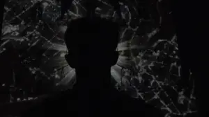 Backdrop to the movie "Fête des Lumières" #544363