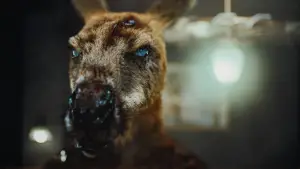 Backdrop to the movie "Rippy" #682919