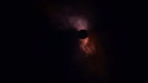 Backdrop to the movie "The Tree of Life" #266193