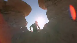 Backdrop to the movie "The Tree of Life" #723959