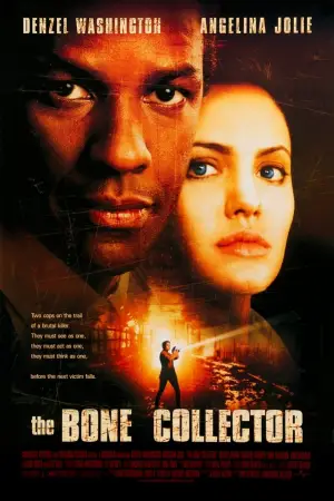 Poster to the movie "The Bone Collector" #745082