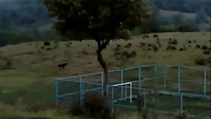 Backdrop to the movie "Dry Leaf" #623384