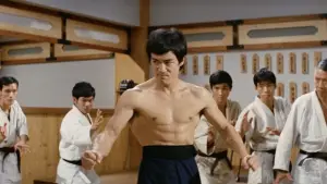 Backdrop to the movie "Fist of Fury" #688278