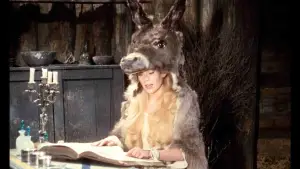 Backdrop to the movie "Donkey Skin" #812102