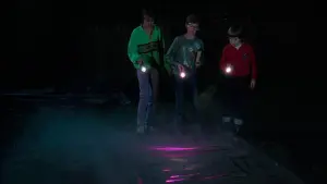 Backdrop to the movie "The Gate" #308745