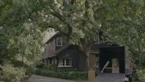 Backdrop to the movie "Together" #527878