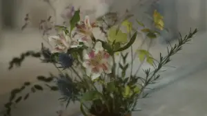 Backdrop to the movie "Portrait of a Lady on Fire" #709691