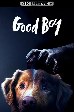 Poster to the movie "Good Boy" #770398