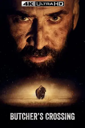 Poster to the movie "Butcher