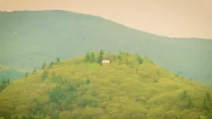 Backdrop to the movie "Invaders From Within!" #469778