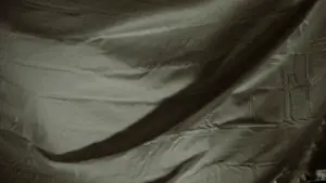 Backdrop to the movie "Worm Hunger" #848287