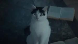 Backdrop to the movie "A Quiet Place: Day One" #563345