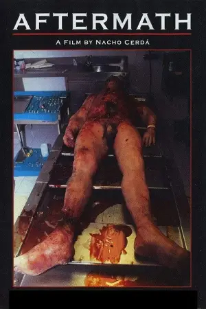 Poster to the movie "Aftermath" #743497