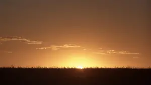 Backdrop to the movie "The Straight Story" #529184