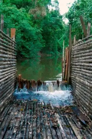 Poster to the movie "The Trap" #491254