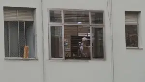 Backdrop to the movie "Vitória" #726124